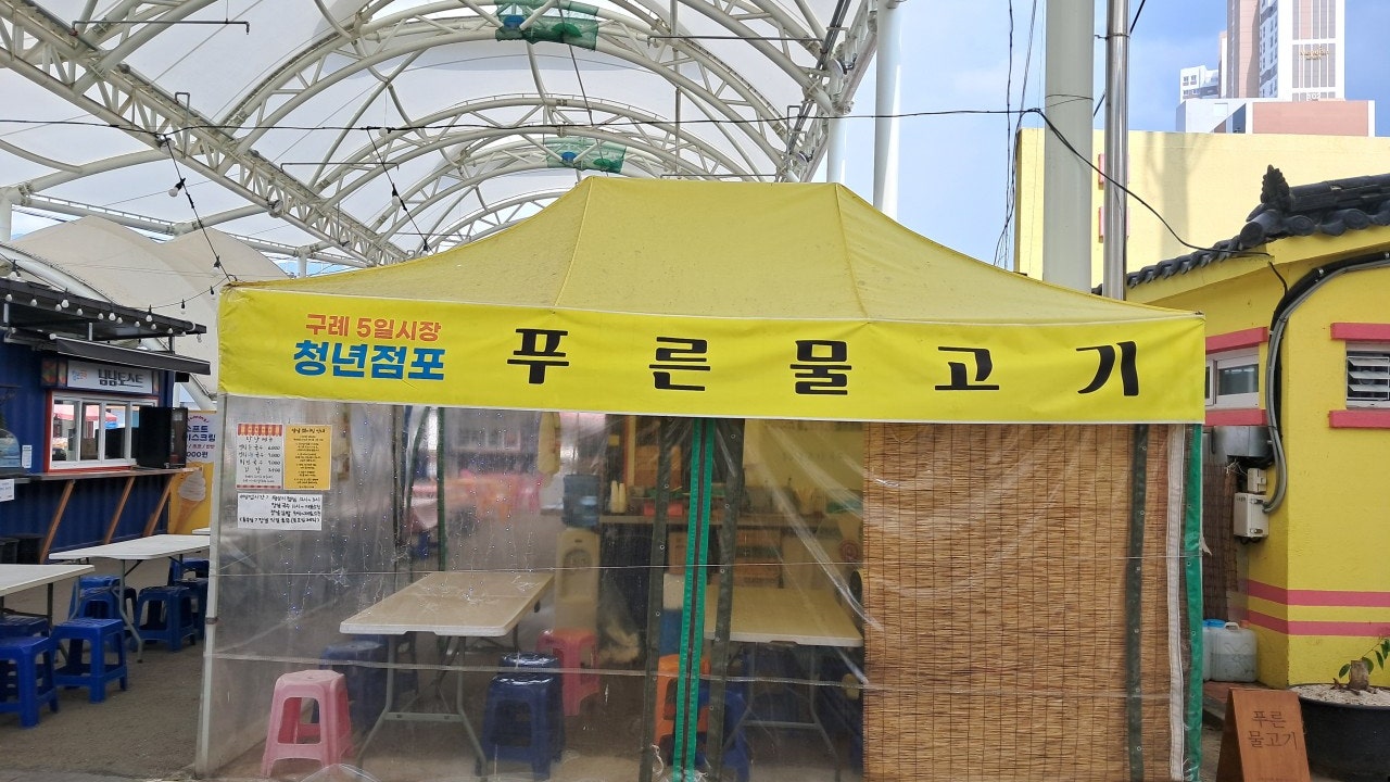푸른물고기국수