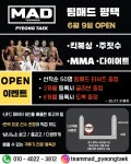 팀매드 평택