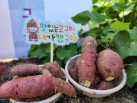 민준주말농장체험학습장