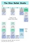 더 리나 발레 스튜디오 학원