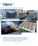 신일수산