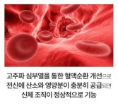 나예뷰티&바디케어