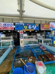정수산