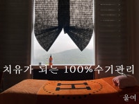 테라피짐