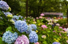 삼성여행사 대구