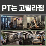 고릴라짐PT
