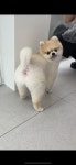 너즐비
