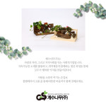 계수나무