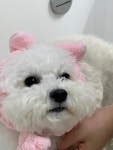 멍빨털빨