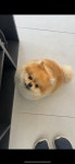 너즐비