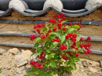 경주선도산한옥스테이