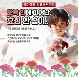 국가대표 청룡 태권도장