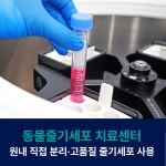 더본외과동물의료센터