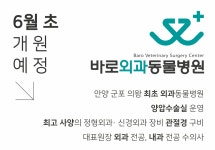 바로외과동물병원