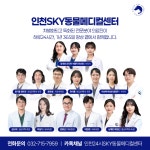 인천24시스카이동물메디컬센터