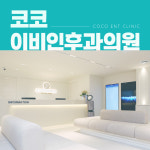 코코이비인후과의원