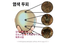 태후사랑 고산점