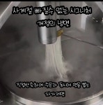 개정 시지점