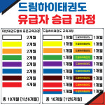 드림하이태권도