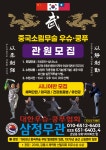 중국무술쿵후삼정무관