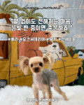 댕모먼트