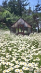 이숲