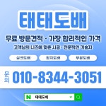 태태도배