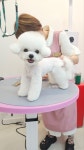 로운이네살롱