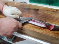 테마참숯장어구이