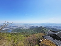 선화신궁