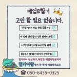 무촌철거 경기북부지사
