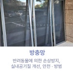 제주바로마켓