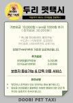 두리펫택시