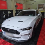 에스클래스 동패점