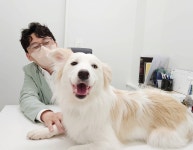 청아동물병원