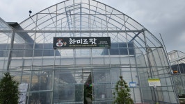 하미르팜