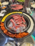 부산갈매기