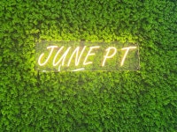 준피티