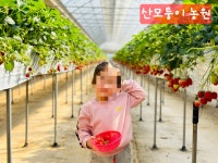 부평풀내음어린이집