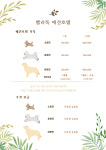 벨리독 애견유치원 애견호텔 애견카페