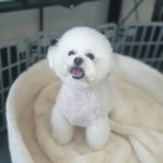 DAHAM H&B(다함헤어&뷰티) | 다함