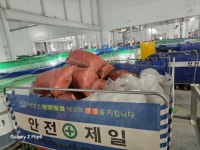 더푸른종합환경