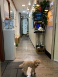 청시지아카데미학원