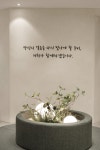서울수정형외과의원 미아