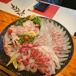 산으로 간 참치