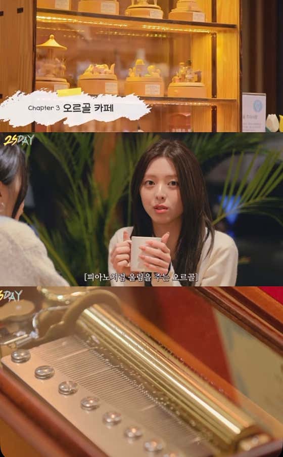 카페 오르골 사진