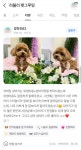 러블리 펫그루밍