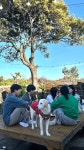 도쉼