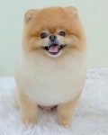 멍실멍실