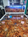 속초홍게